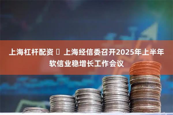 上海杠杆配资 ​上海经信委召开2025年上半年软信业稳增长工作会议