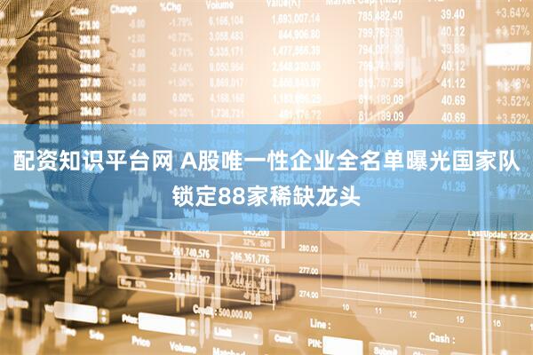 配资知识平台网 A股唯一性企业全名单曝光国家队锁定88家稀缺龙头