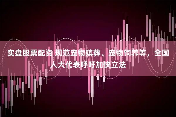 实盘股票配资 规范宠物殡葬、宠物饲养等，全国人大代表呼吁加快立法