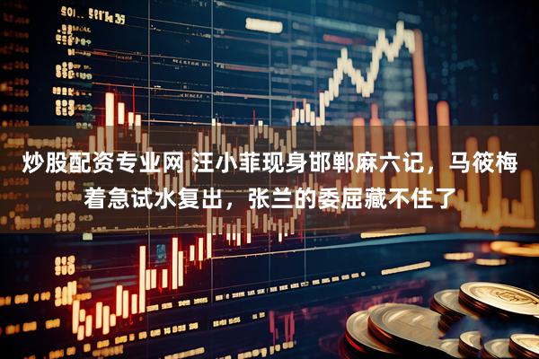 炒股配资专业网 汪小菲现身邯郸麻六记，马筱梅着急试水复出，张兰的委屈藏不住了